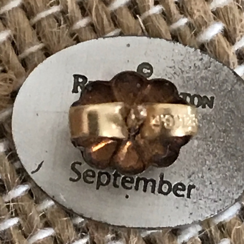 Reed &Barton “September” Aster Post Earrings - Picture 2 of 2